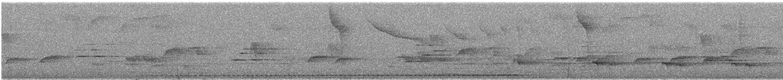 Giant Antpitta - ML626510462
