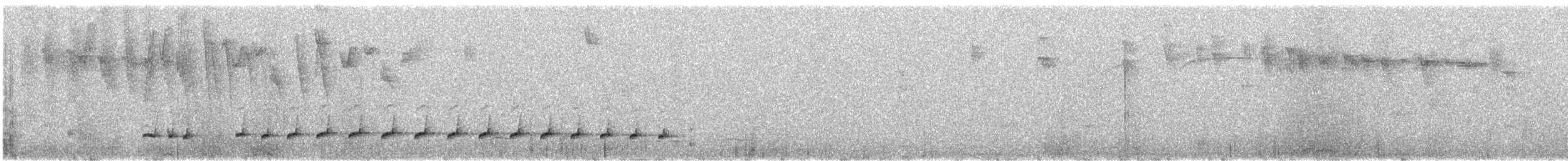 Equatorial Antpitta - ML626510598