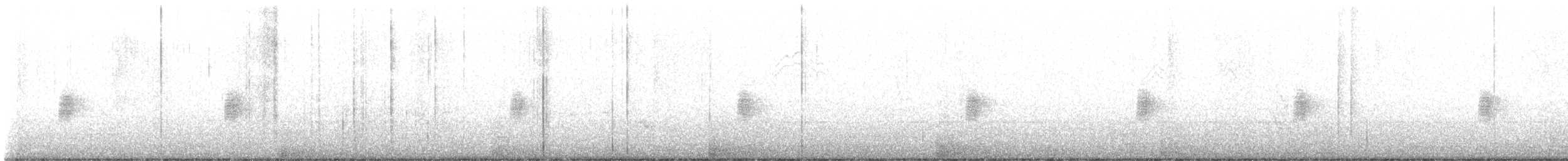 Японская таловка - ML626514254
