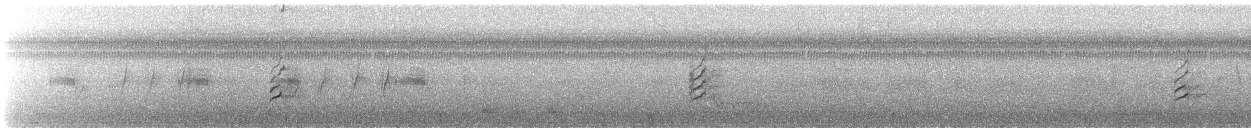 Amerika Küçük Batağanı - ML626514311