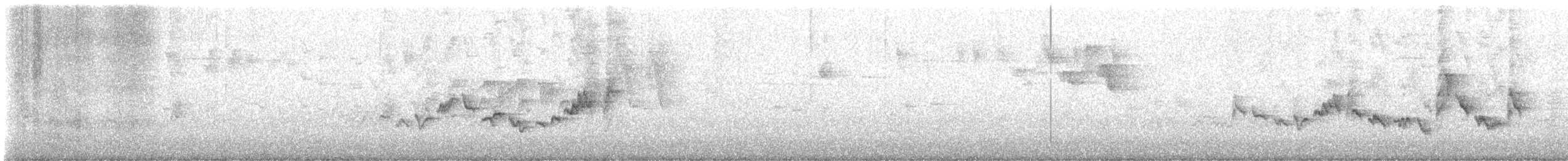 Eastern Warbling Vireo - ML626516023