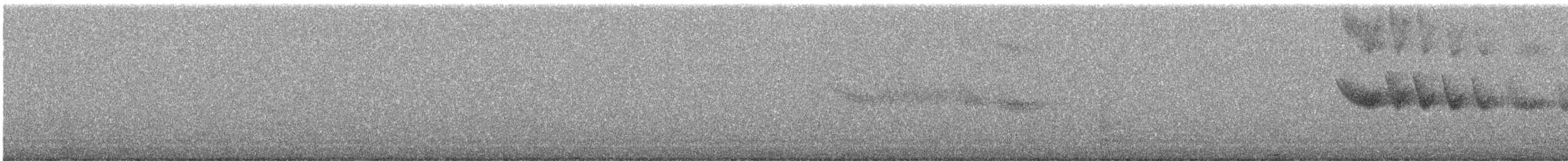 Blue Whistling-Thrush - ML626516123