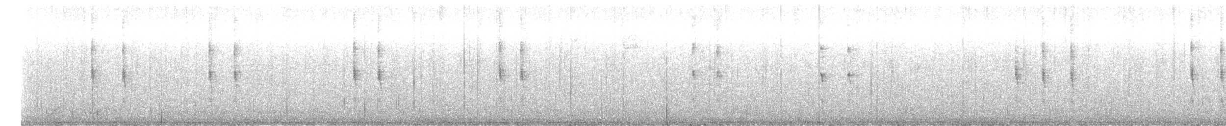 Pacific/Winter Wren - ML626517596