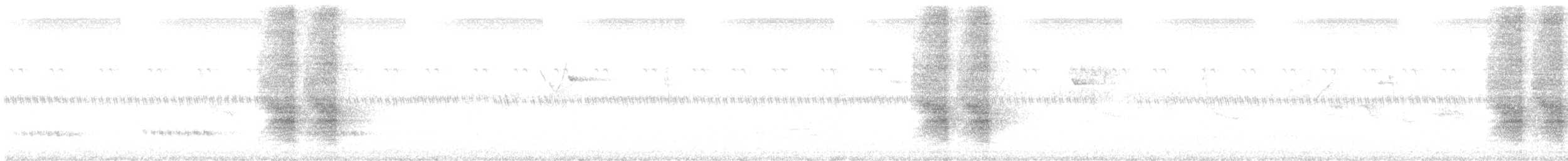 Racket-tailed Treepie - ML626518529