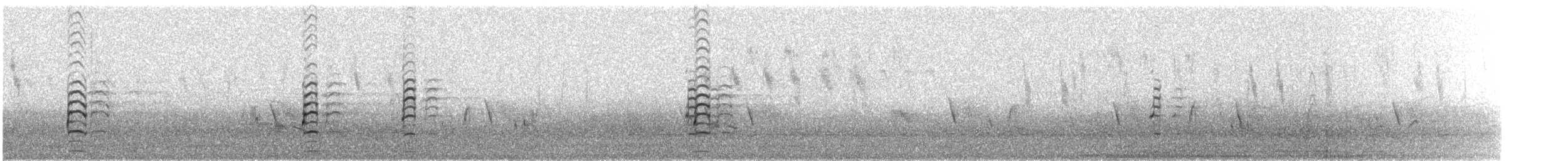 Rotkopf-Säbelschnäbler - ML62652191