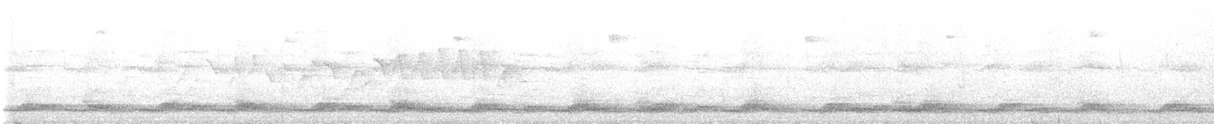 ウスグロヨタカ - ML626522865
