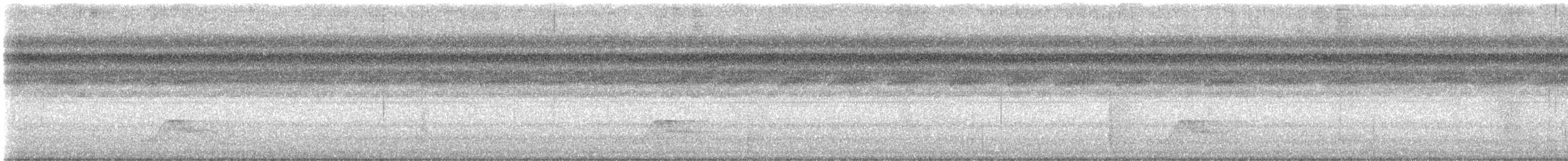 Common Pauraque - ML626523374