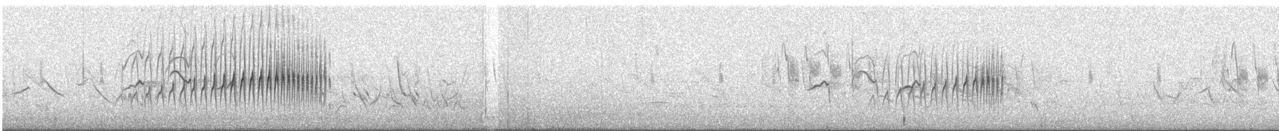 Streak-backed Canastero (Puna) - ML626531932