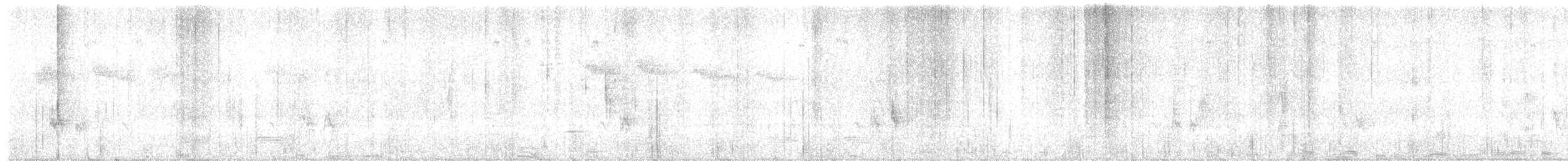 Grauköpfchen - ML626532530