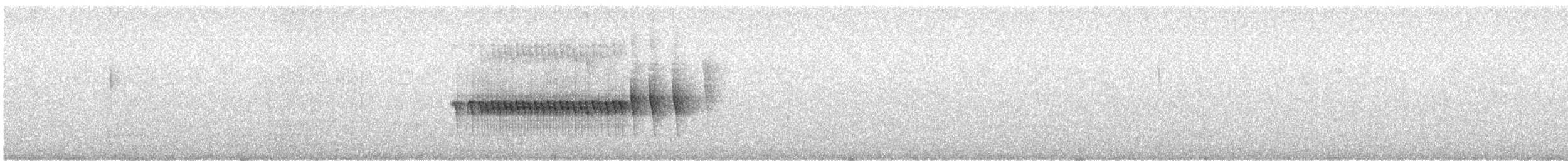 Buff-winged Cinclodes - ML626538655