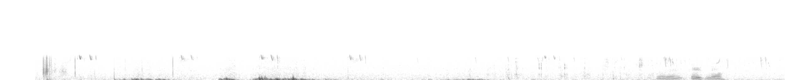 Grisin de Grantsau - ML626544312