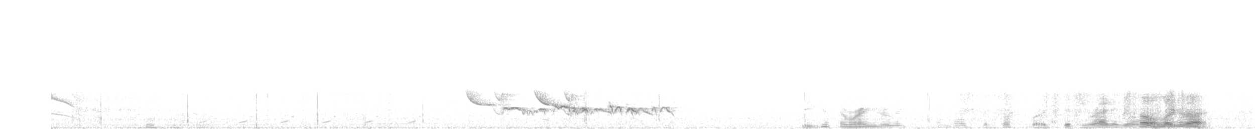 Spot-breasted Antvireo - ML626544697