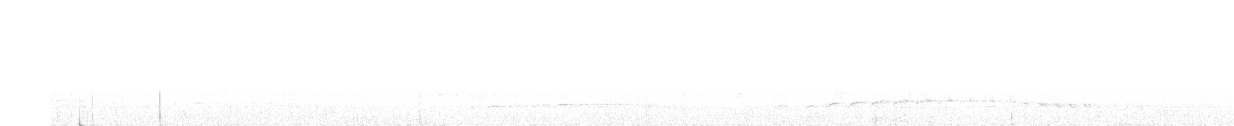 Spot-breasted Antvireo - ML626544796