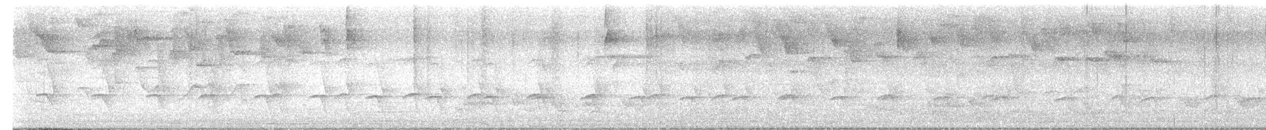 leskovec neotropický - ML626554112