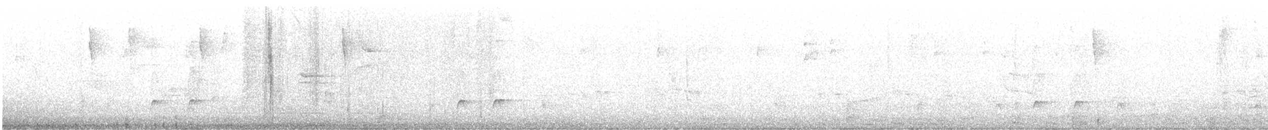 Greater Pewee - ML626564334