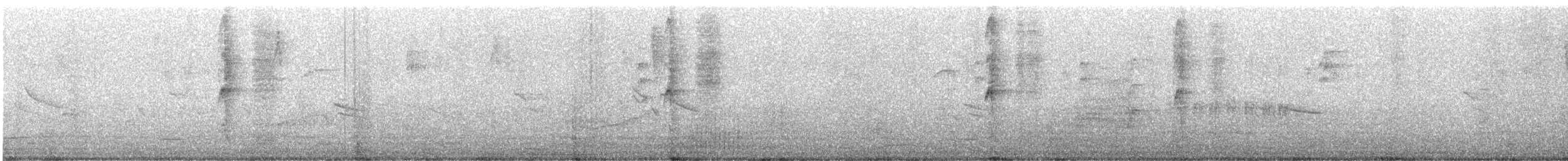 Band-backed Wren - ML626564553