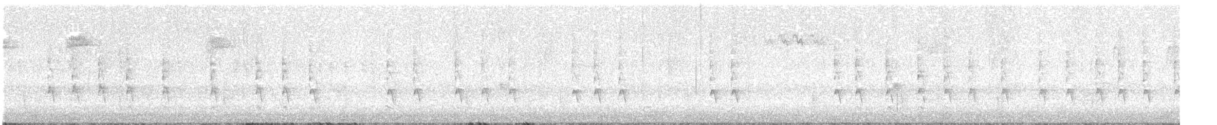 フユミソサザイ - ML626578775