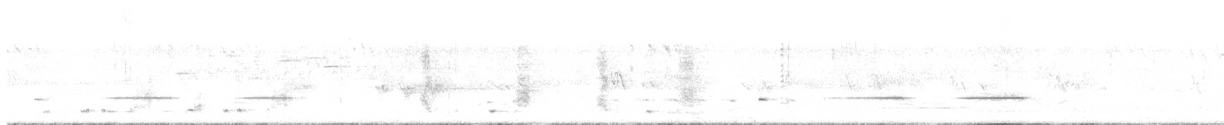 Карликовая котата - ML626579477