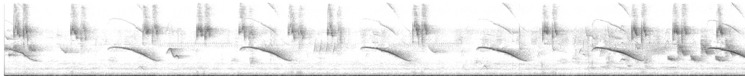 Horsfield's Bronze-Cuckoo - ML626579502