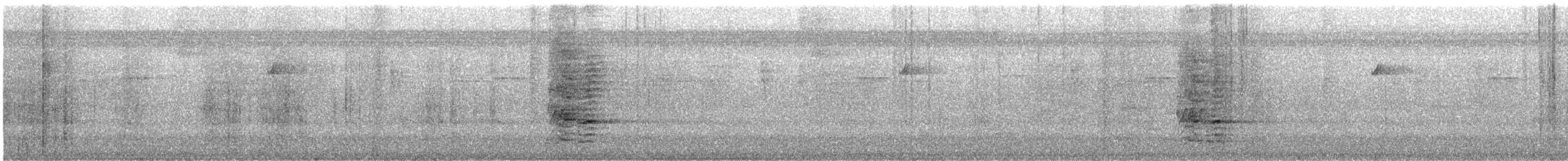 San Blas Jay - ML626579520