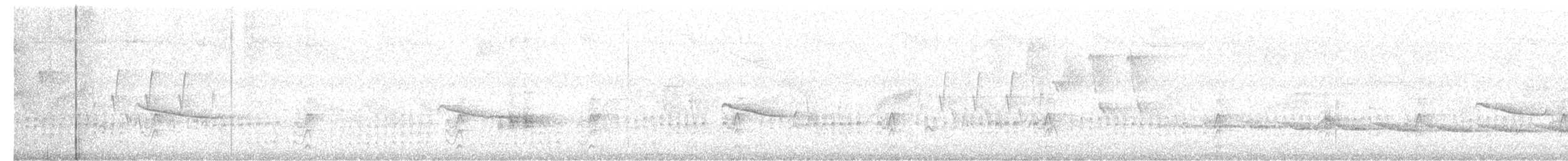 ムジヒメアリサザイ - ML626579847