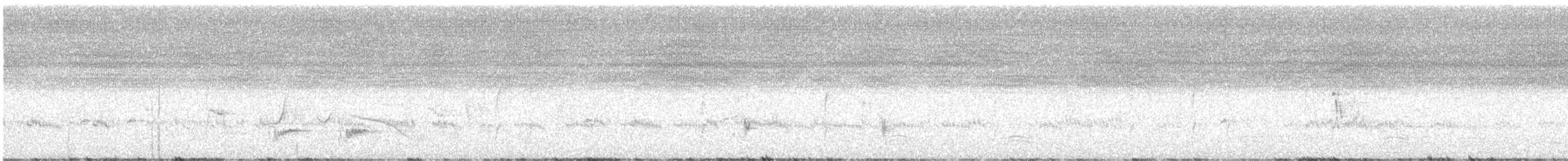 ノドグロハチマキミツスイ（laetior） - ML626587279