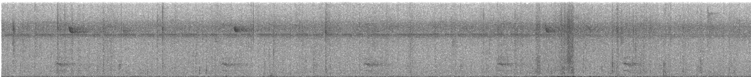 Barred Forest-Falcon - ML626594712