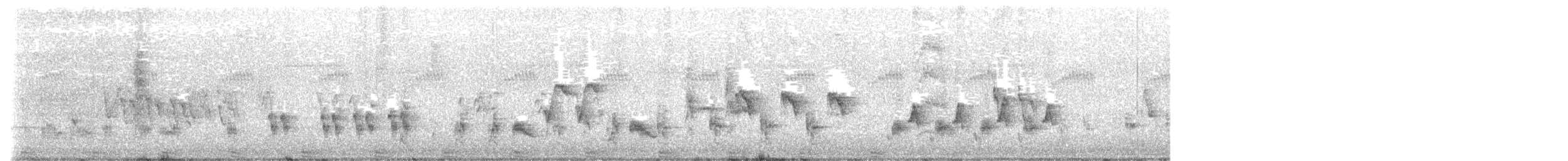 Blongios d'Australie - ML626594720