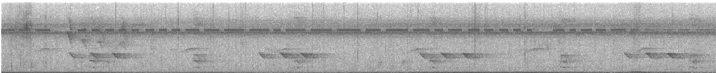 Barred Forest-Falcon - ML626594764