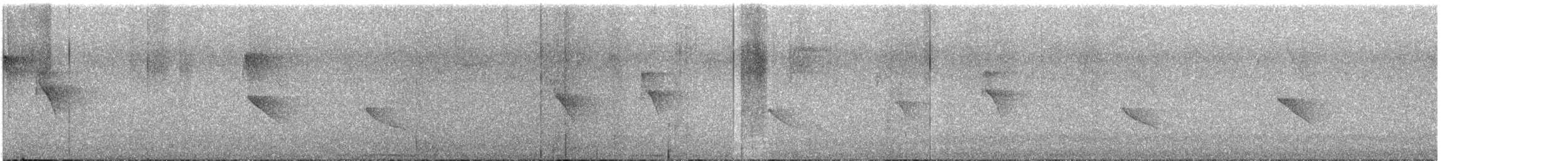 Dot-winged Antwren - ML626595249