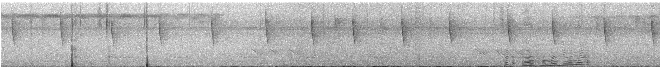 passerine sp. - ML626595577