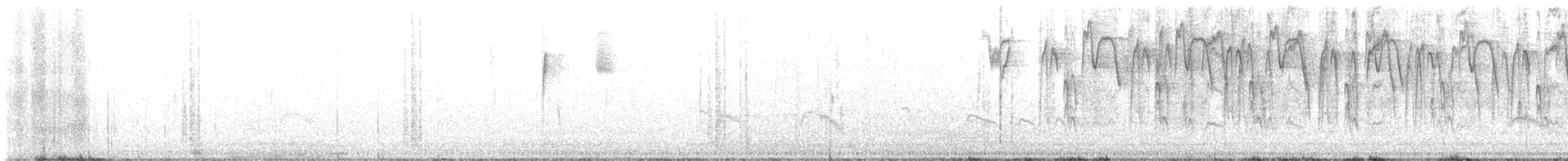 Bridled Sparrow - ML626596153