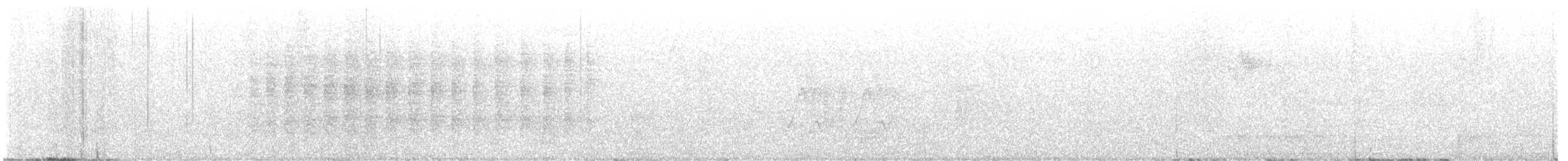 Troglodyte zébré - ML626596256
