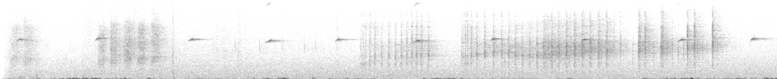 Troglodyte zébré - ML626596257