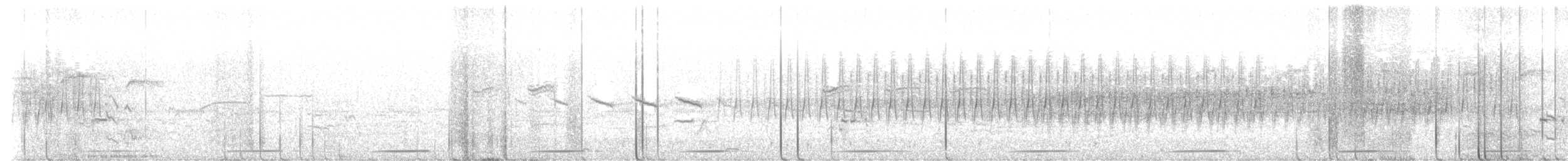 chřástalík kaštanovoprsý - ML626597451