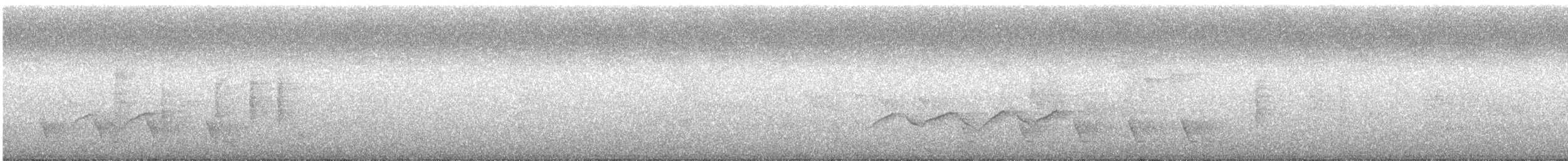 オオヒメコノハドリ - ML626598281