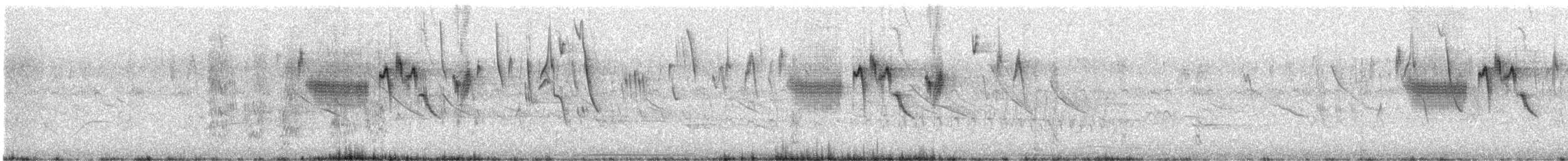 Hellmayr's Pipit - ML626600500