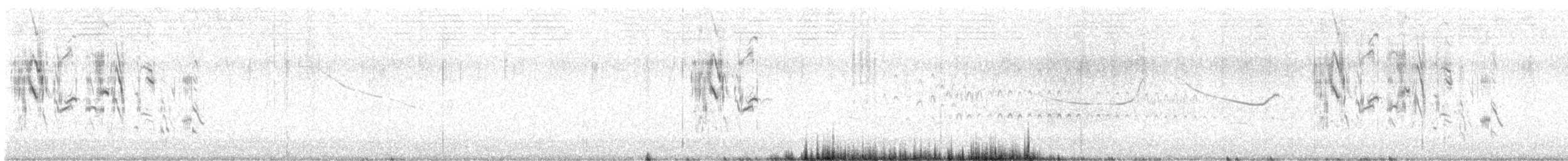 Parasitic Weaver - ML626602704