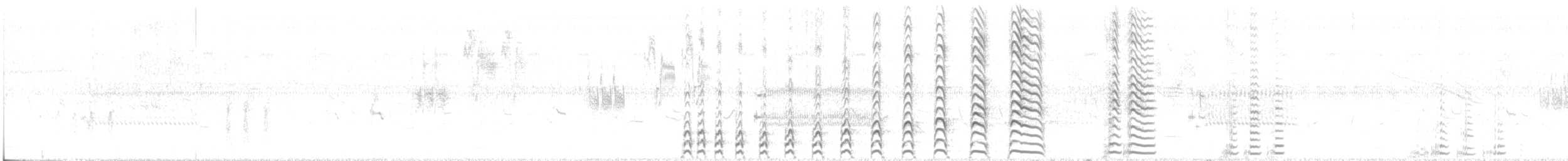 Amerikateichhuhn - ML62660761