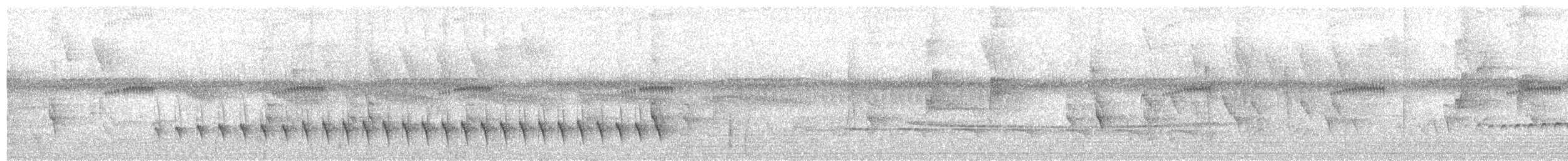 ズキンヒメアリサザイ - ML626607661