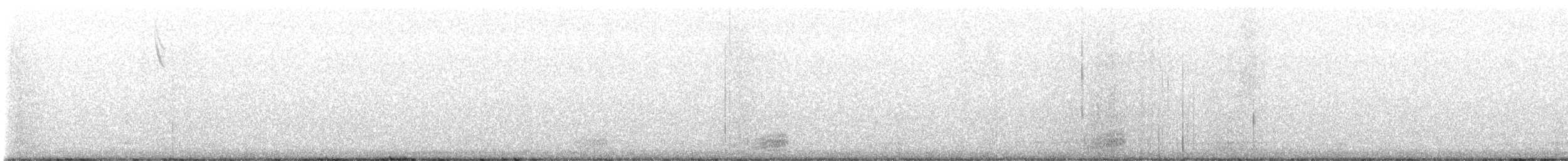 raven sp. - ML626611234