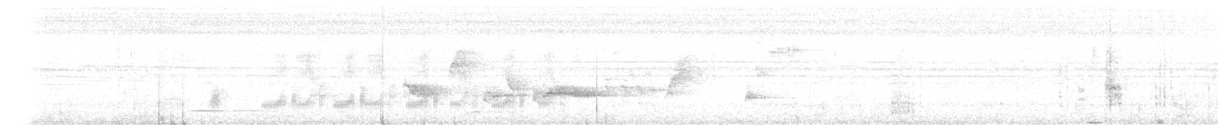 Black-tailed Tityra - ML626612205