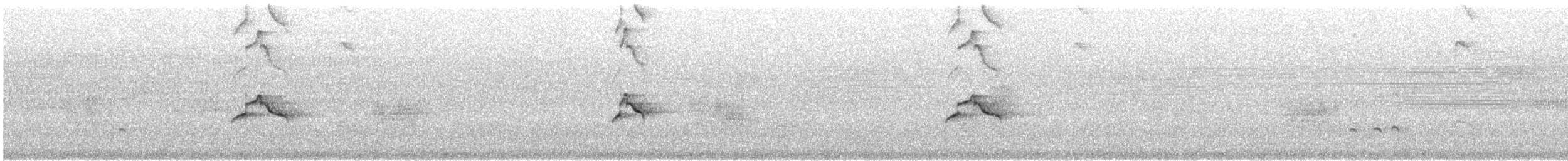 Piratic Flycatcher - ML626618886