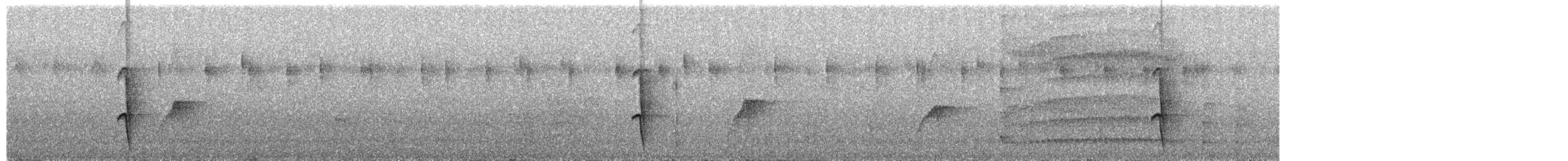 Porte-éventail de Swainson - ML626627738