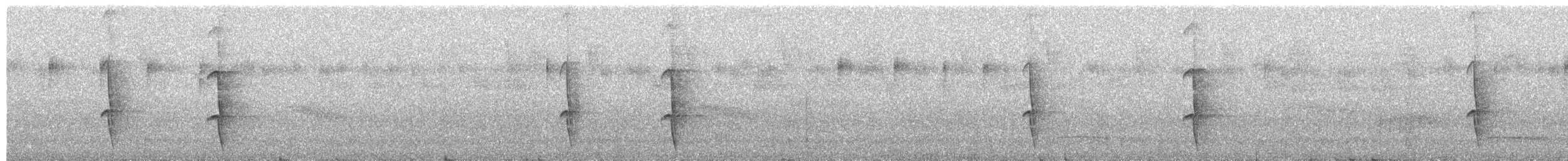 Porte-éventail de Swainson - ML626627748