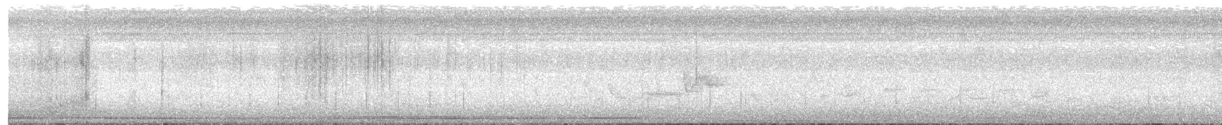 Buchenschnäppertyrann - ML62663001