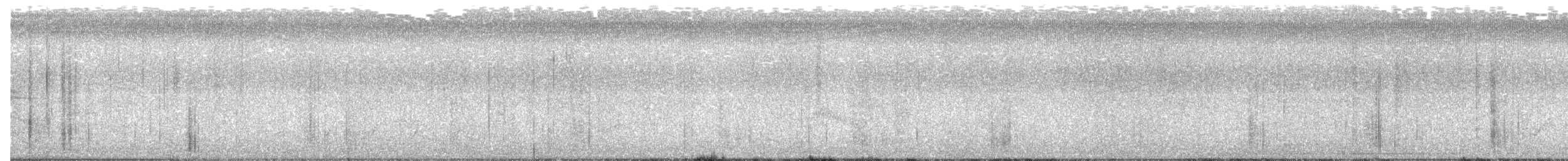 Buchenschnäppertyrann - ML62663221