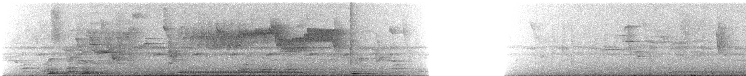 Scaled Antpitta - ML626633041