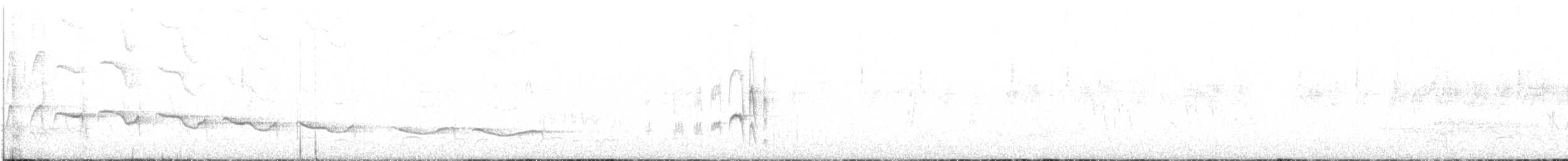 Mouse-colored Tyrannulet (Southern) - ML626636779