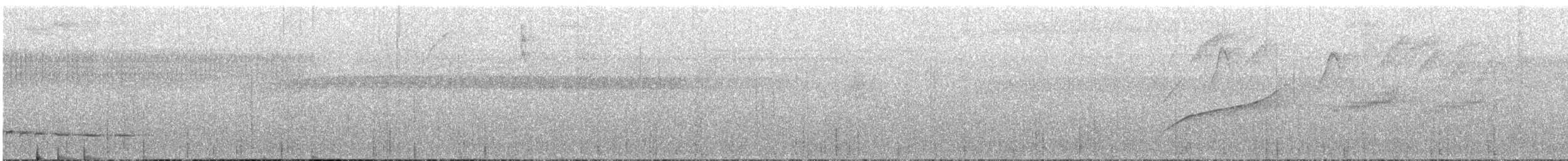 Lawrence's Thrush - ML626637920